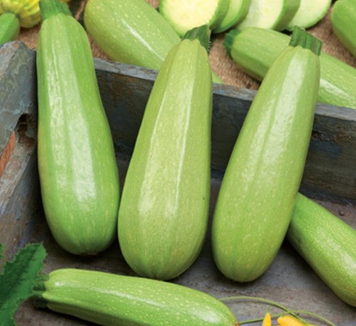 Squash Zucchini Chaklun 